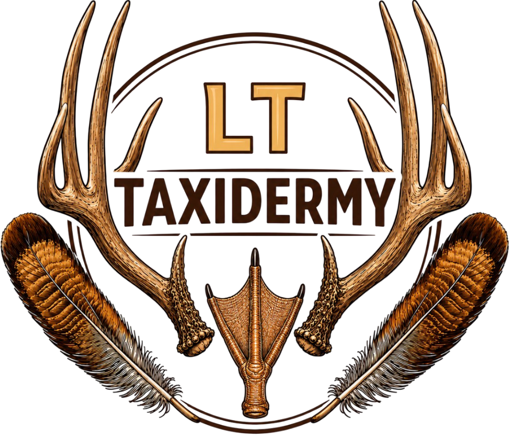 LT Taxidermy Logo